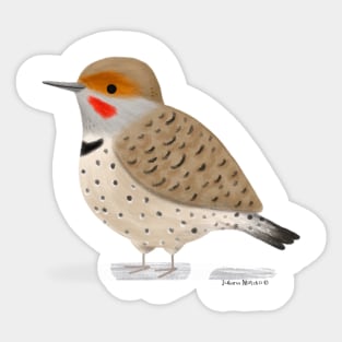 Northern Flicker Bird Sticker